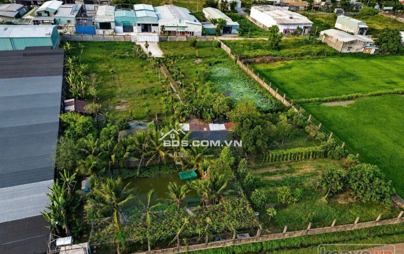 ĐẤT LỚN MẶT TIỀN XUÂN THỚI SƠN – GẦN 6400M² – NGANG 65M CÓ THỔ CƯ